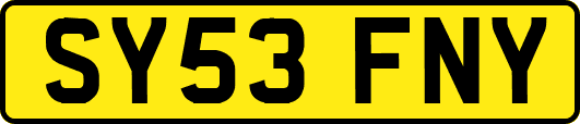 SY53FNY