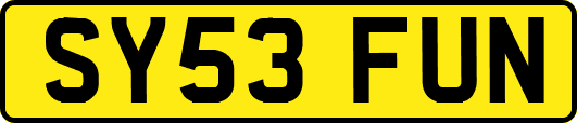SY53FUN