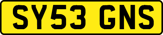 SY53GNS