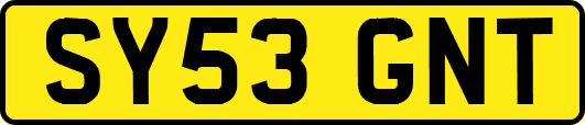 SY53GNT