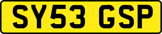 SY53GSP