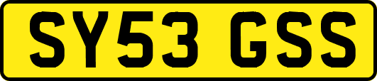 SY53GSS