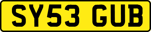 SY53GUB