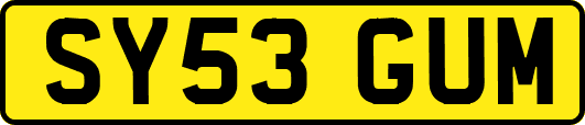 SY53GUM