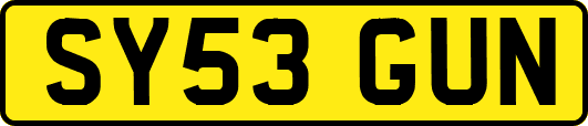 SY53GUN