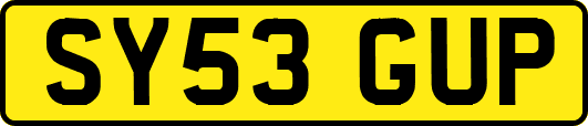 SY53GUP