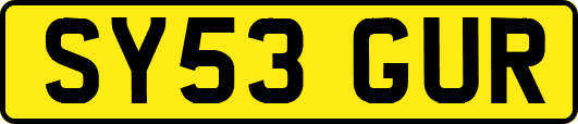 SY53GUR