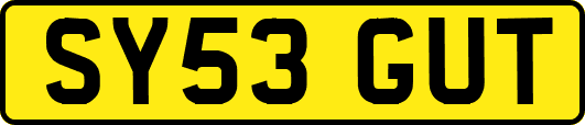SY53GUT