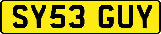 SY53GUY