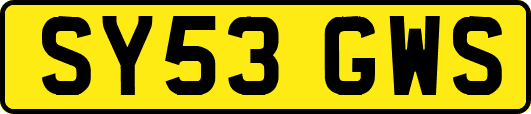 SY53GWS