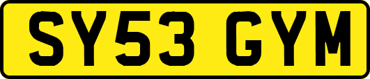 SY53GYM