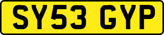SY53GYP