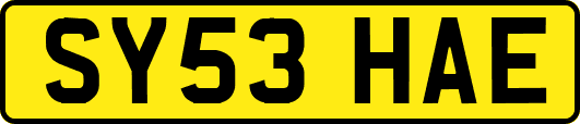 SY53HAE
