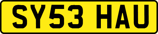 SY53HAU