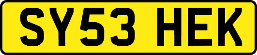 SY53HEK