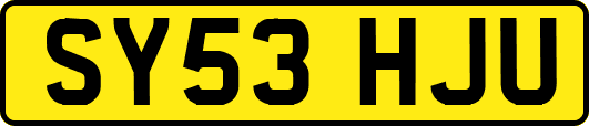 SY53HJU