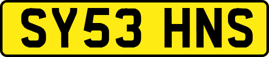 SY53HNS
