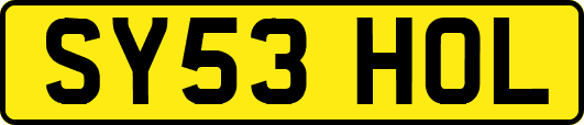 SY53HOL