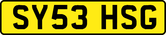 SY53HSG