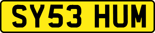 SY53HUM