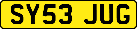 SY53JUG