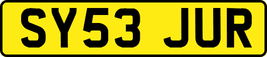 SY53JUR