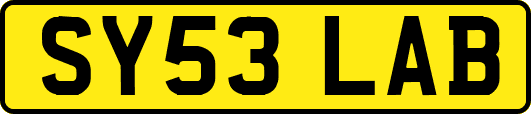 SY53LAB