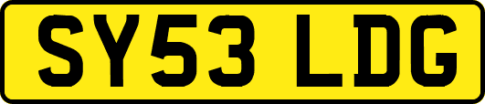 SY53LDG