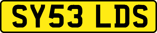 SY53LDS