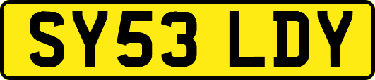 SY53LDY