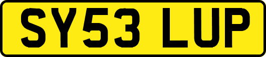 SY53LUP