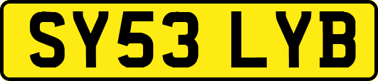 SY53LYB