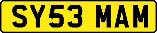 SY53MAM