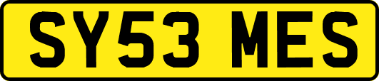 SY53MES