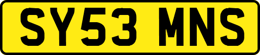 SY53MNS