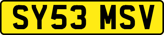 SY53MSV