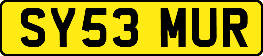 SY53MUR