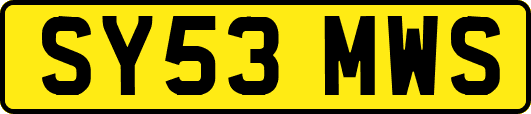 SY53MWS
