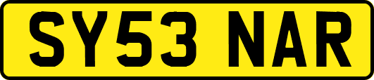 SY53NAR