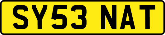 SY53NAT