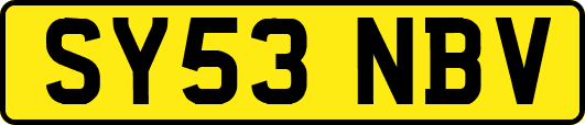 SY53NBV