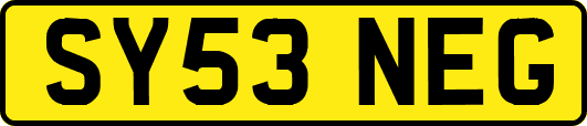 SY53NEG