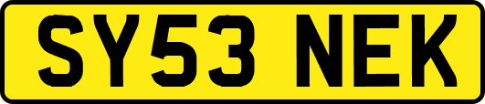 SY53NEK