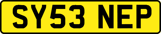 SY53NEP