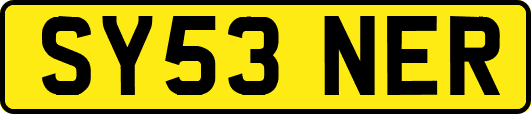 SY53NER