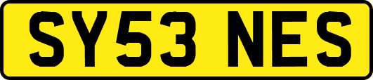 SY53NES