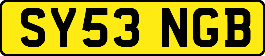SY53NGB