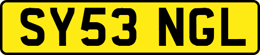 SY53NGL