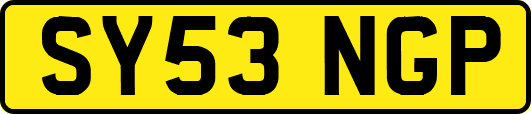 SY53NGP