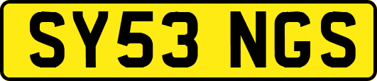 SY53NGS